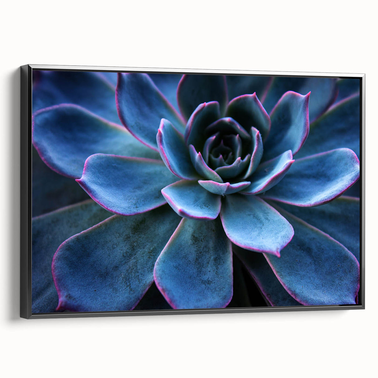 Framed canvas wall art featuring a botanical design of succulents in vibrant colors, showcased from a black side view, perfect for home decor and nature lovers.