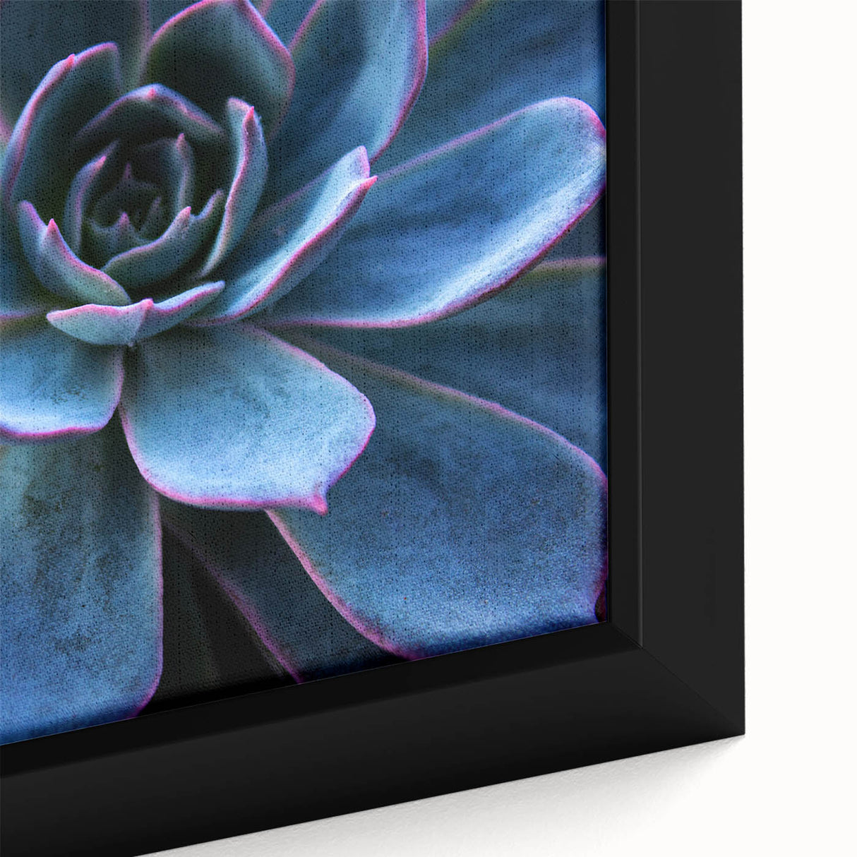 Close-up view of a framed botanical wall art design featuring vibrant succulents and flowers on a textured canvas, perfect for home decor.