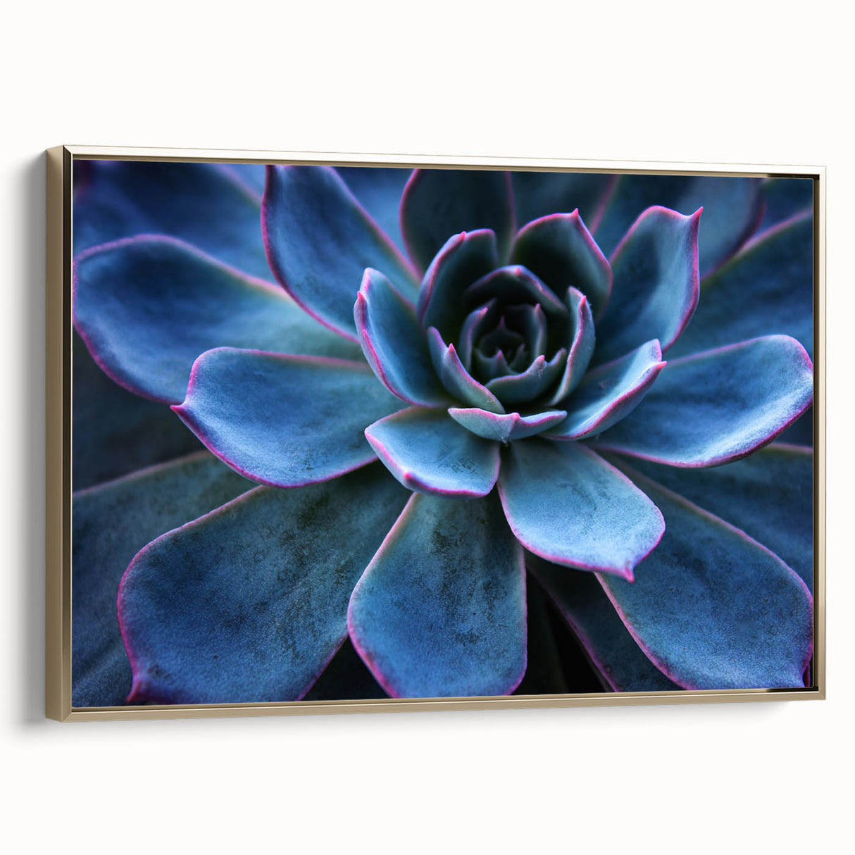 Framed botanical wall art featuring a vibrant succulent design in gold, showcasing detailed textures and colors, perfect for home decor enthusiasts.