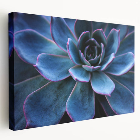 Stretched canvas wall art showcasing a vibrant botanical design with colorful succulents, perfect for home decor. Ideal for adding a fresh, natural touch to any room.