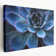 Stretched canvas wall art showcasing a vibrant botanical design with colorful succulents, perfect for home decor. Ideal for adding a fresh, natural touch to any room.