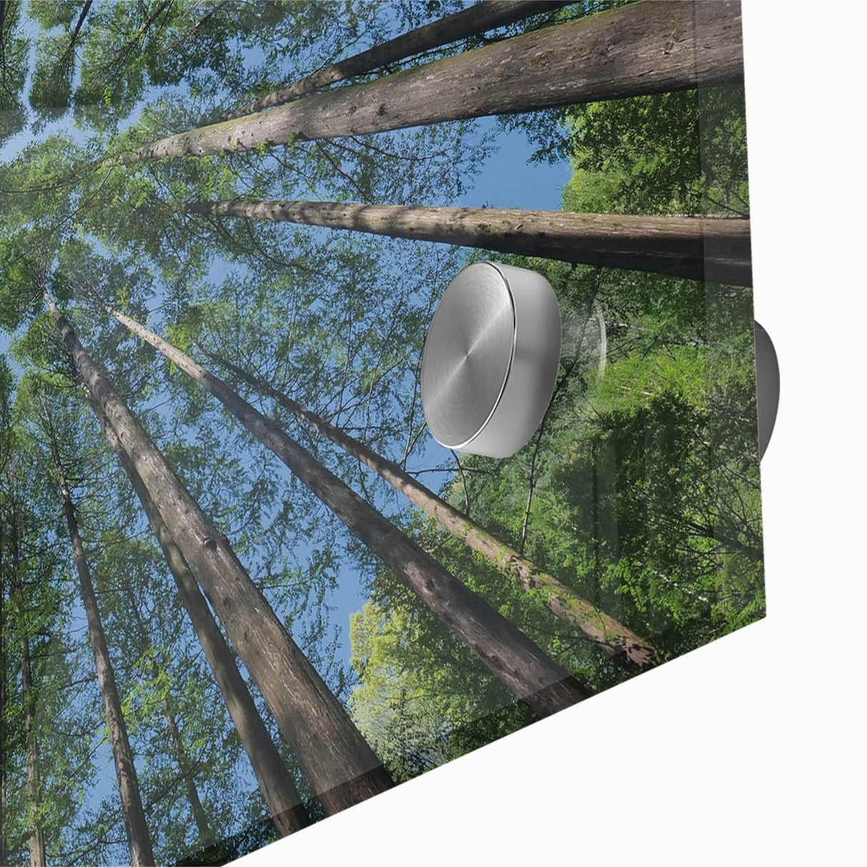 Close-up view of a botanical wall art collection featuring vibrant floral designs on acrylic glass, showcasing intricate details and vivid colors, perfect for home decor.