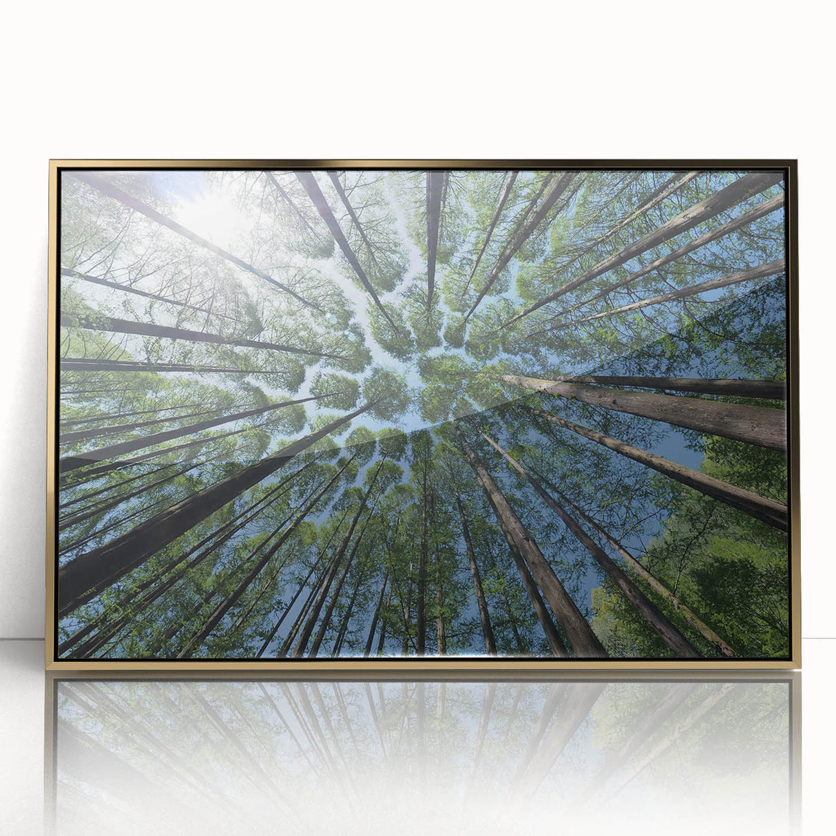 Framed wall art collection featuring a botanical design of flowers and trees, showcased with a gold-accented acrylic front for a modern aesthetic. Ideal for enhancing interior decor with a touch of nature-inspired elegance.