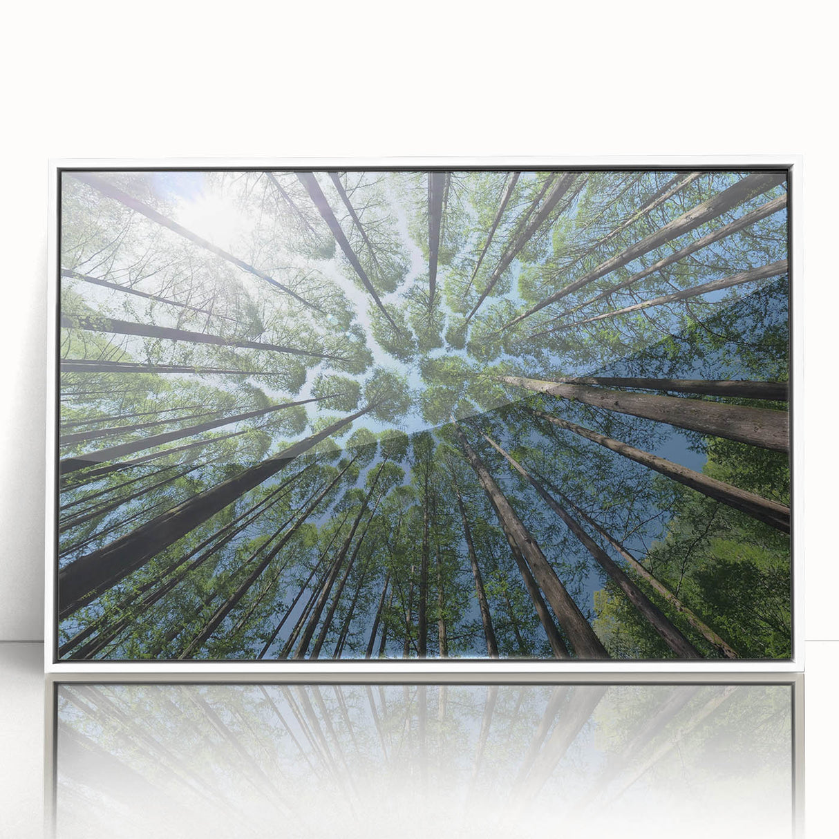 Framed botanical wall art collection featuring colorful flowers and trees on a white background, ideal for enhancing home decor with a nature-inspired theme.