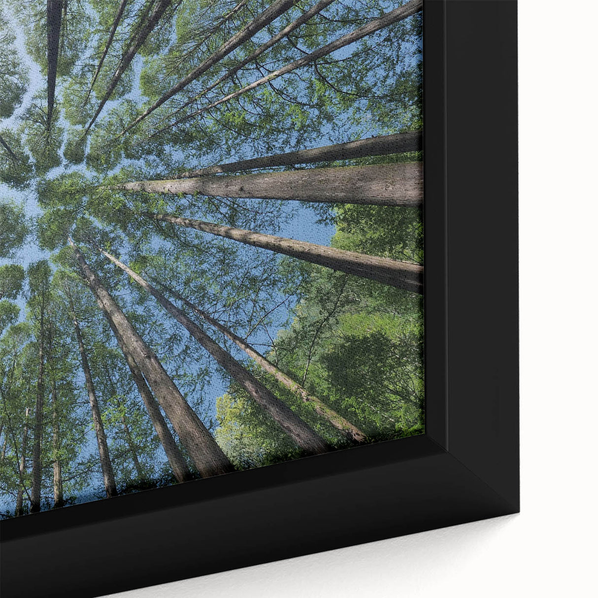Framed botanical wall art collection showcasing a vibrant close-up of colorful flowers and trees on a textured canvas, ideal for home decor and nature lovers.