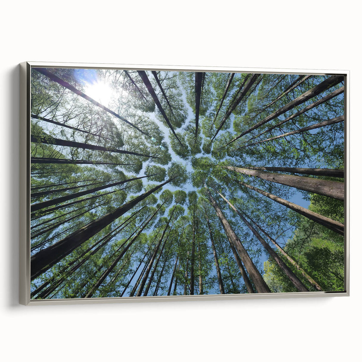Framed wall art collection showcasing a botanical design featuring vibrant flowers and trees, set in a sleek silver frame, ideal for modern home décor.