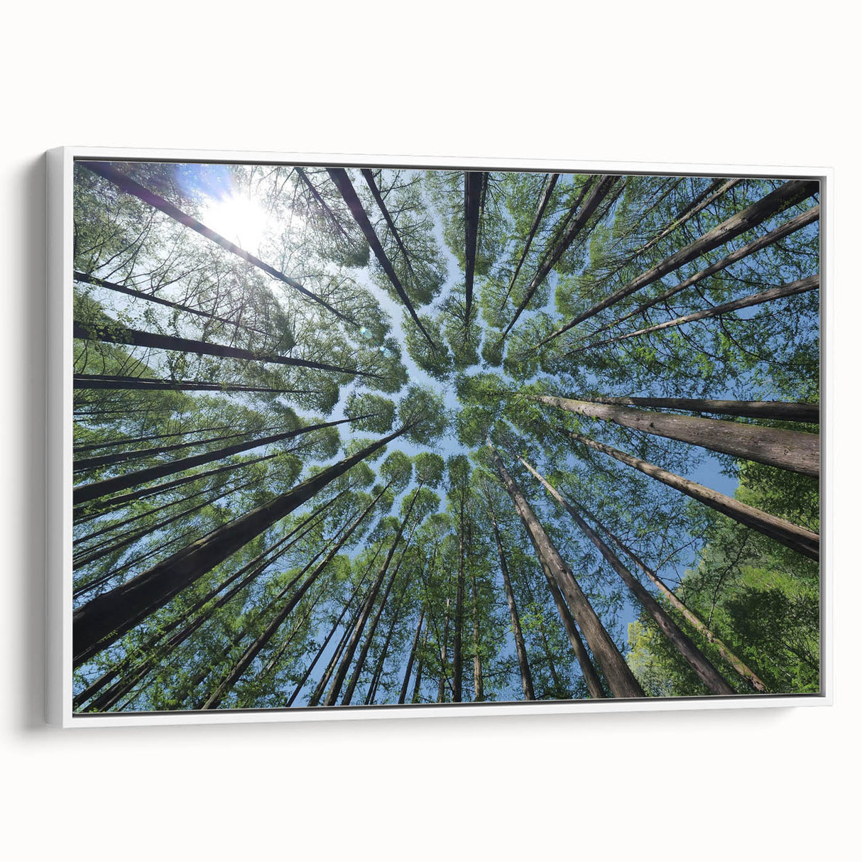 Framed canvas wall art showcasing a botanical design of trees and flowers in a minimalist style, featuring a white frame and elegant side view display.
