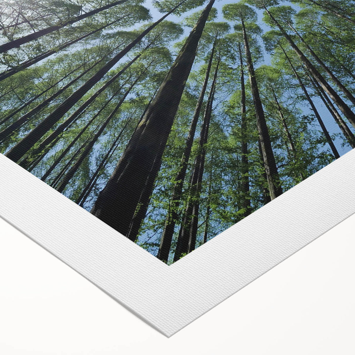 Vibrant rolled canvas depicting a botanical tree design with colorful flowers, ideal for home decor, showcasing intricate details and natural beauty.