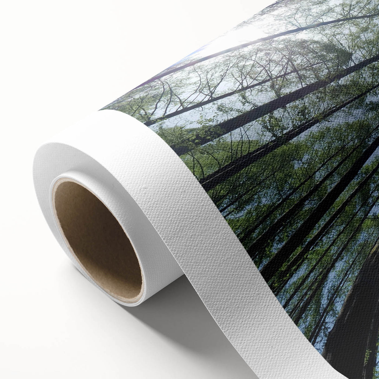 Botanical wall art collection featuring an array of vibrant flowers and trees on a rolled canvas, designed to enhance home decor with nature-inspired aesthetics.