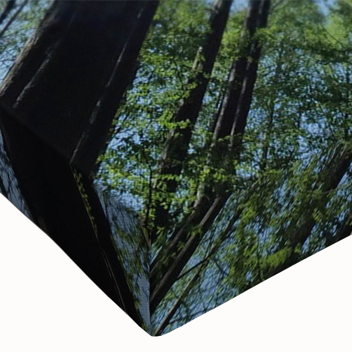 Close-up of a vibrant botanical wall art piece featuring detailed floral and tree designs in rich colors, displayed on stretched canvas for a modern home decor aesthetic.