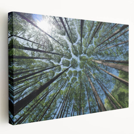 Stretched canvas art showcasing a vibrant botanical design of flowers and trees, highlighting rich colors and intricate details, perfect for home decor.