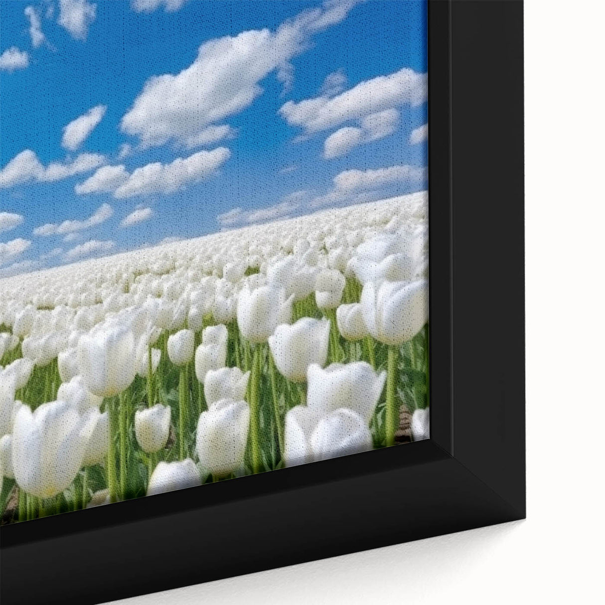 Close-up of a framed botanical wall art piece featuring vibrant tulips in various shades of pink and yellow, showcasing intricate details and textures against a soft background. Perfect for brightening up any living space or office decor.