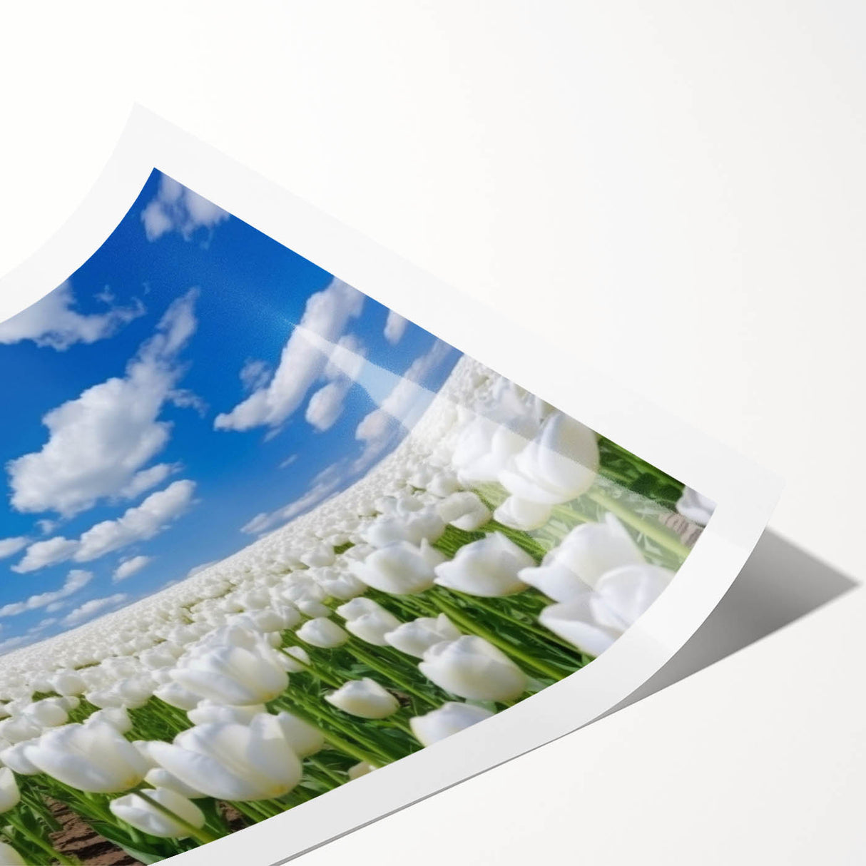 Botanical wall art print showcasing a vibrant tulip design with rich colors and intricate details, rolled for easy display and shipping. Perfect for home decor.