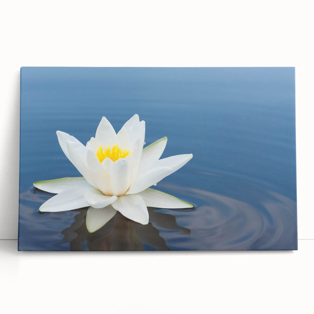 Botanical wall art featuring a vibrant water lily design on stretched canvas, showcasing rich colors and intricate details, perfect for home decor. Ideal for nature lovers and art enthusiasts.