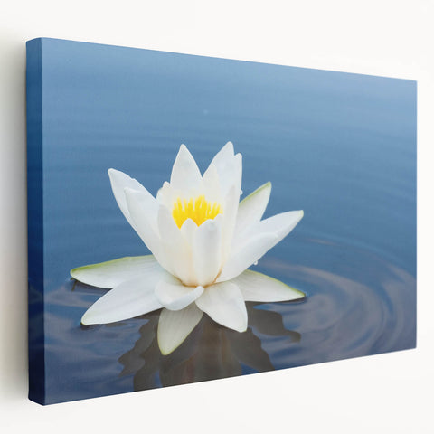Stretched canvas wall art showcasing a vibrant botanical water lily design in rich colors, ideal for enhancing home decor with a natural touch.