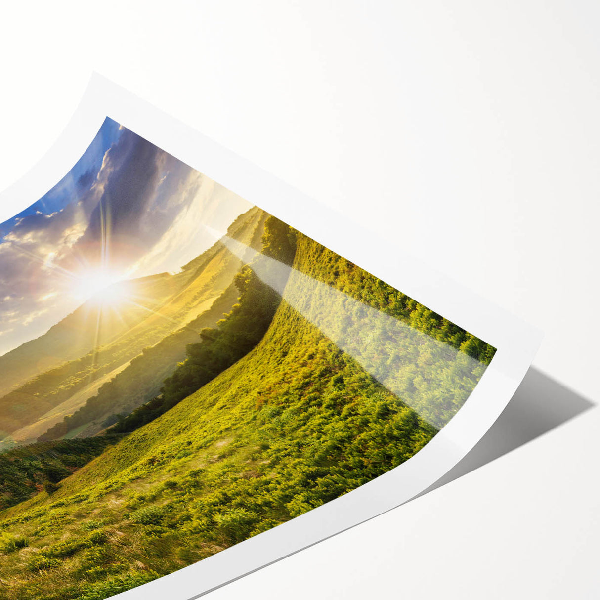 Vibrant rolled print of a serene valley landscape, showcasing lush greenery and gentle hills, ideal for home decor or art collectors, packaged securely for delivery.