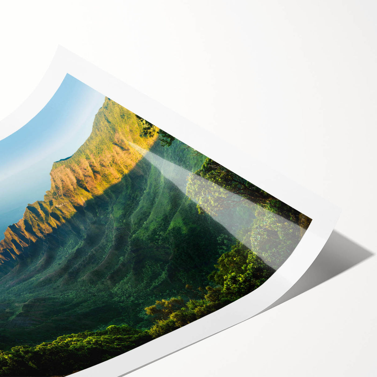 Rolled print showcasing a serene valley landscape design, featuring vibrant colors and intricate details, packaged securely in a protective cardboard tube for wall art enthusiasts.