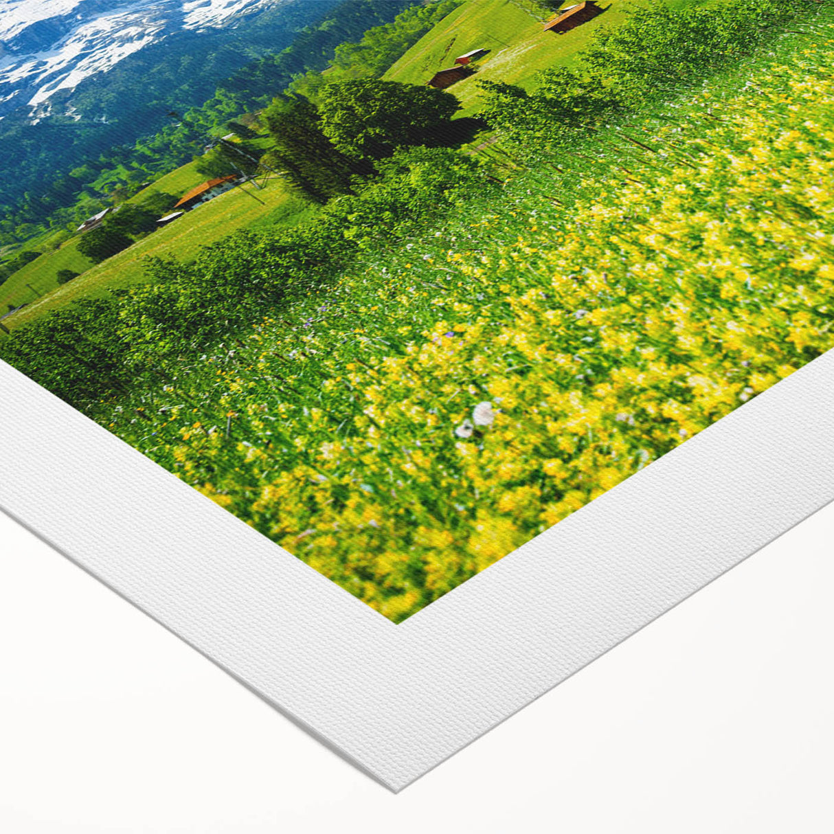 Vibrant rolled canvas wall art featuring a serene valley landscape design, showcasing lush greenery and soft pastel skies, ideal for home décor enhancement.