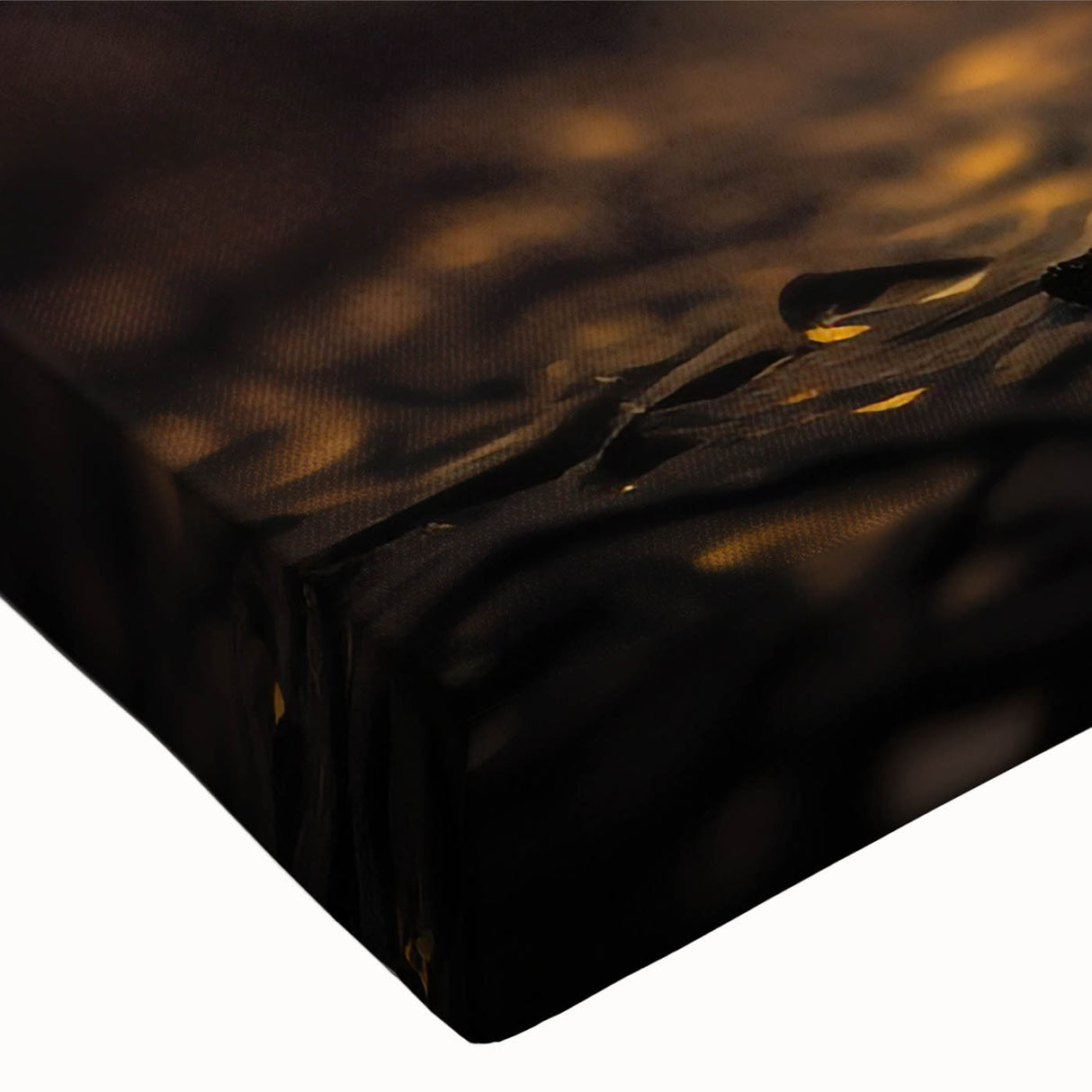 Black and white photo of a bird in flight on stretched canvas, ideal for bedroom wall art.