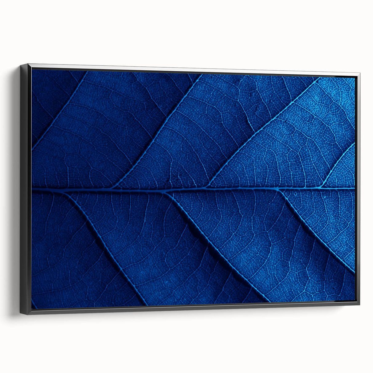 Black and white framed canvas featuring a close-up floral design, ideal for bedroom wall decor.