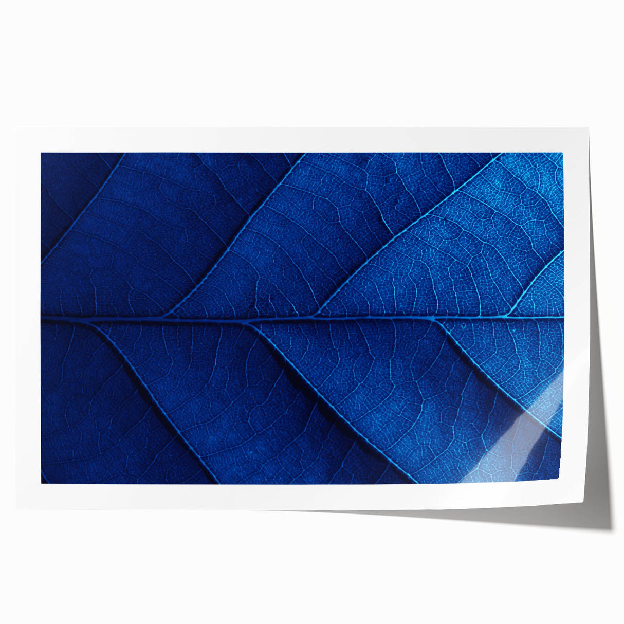 Close-up floral art on rolled canvas featuring delicate pink and white blooms.