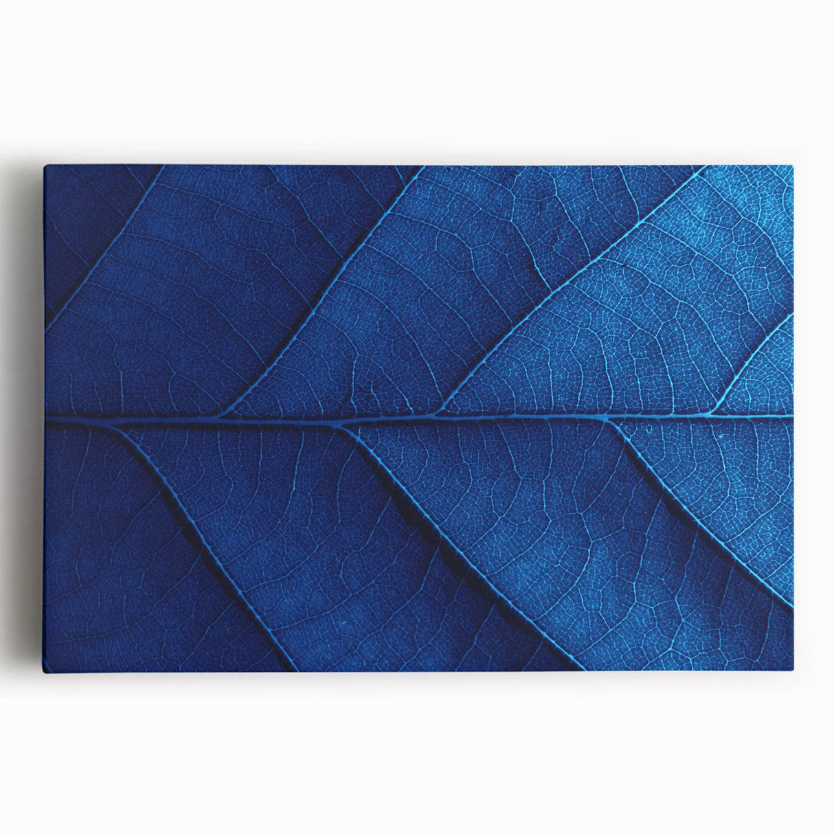 Black and white close-up floral image on stretched canvas, ideal for kitchen wall art.