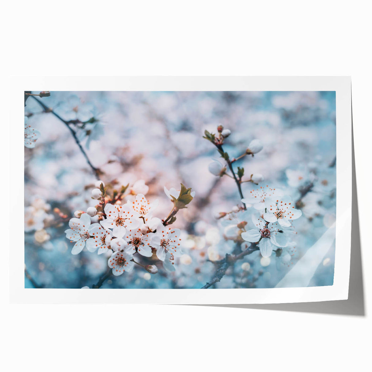 Extra large rolled print of vibrant floral art, ideal for art wall dining room or classy bathroom.