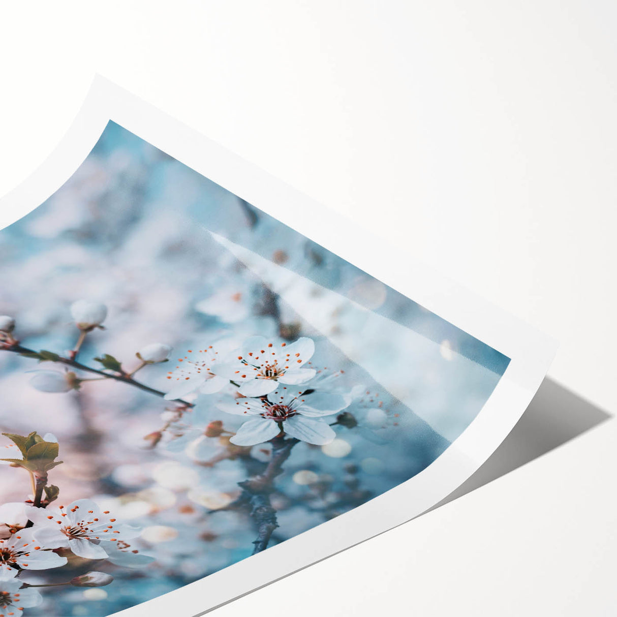 Extra large rolled print of line art flowers in black and white, ideal for large living room wall art.