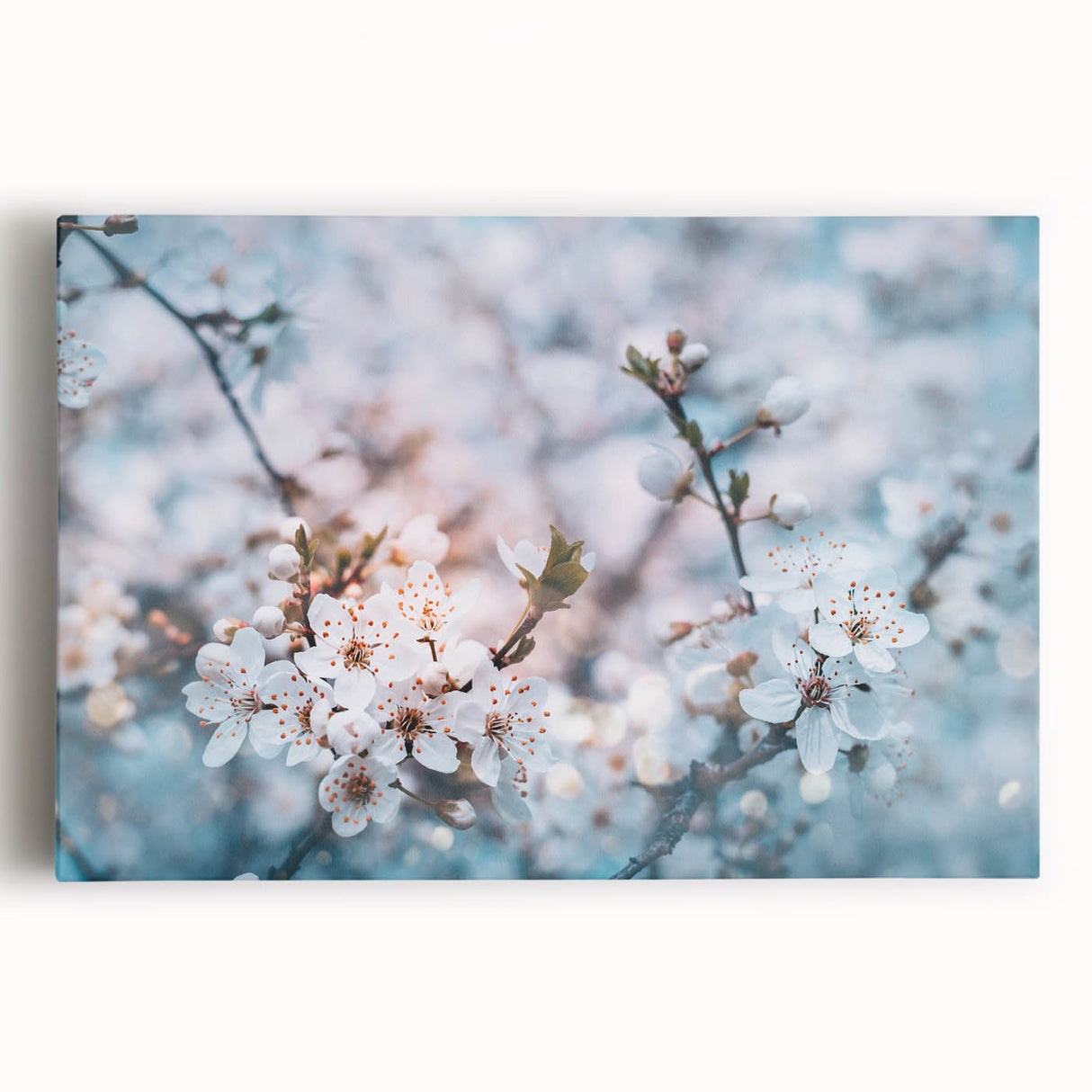 Black and white close-up floral photograph on stretched canvas, suited for kitchen wall art.