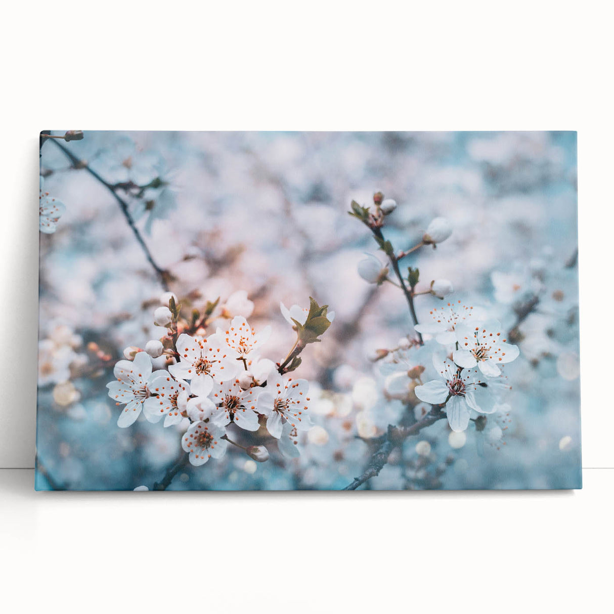 Black and white close-up floral photo on stretched canvas, ideal for kitchen wall art.