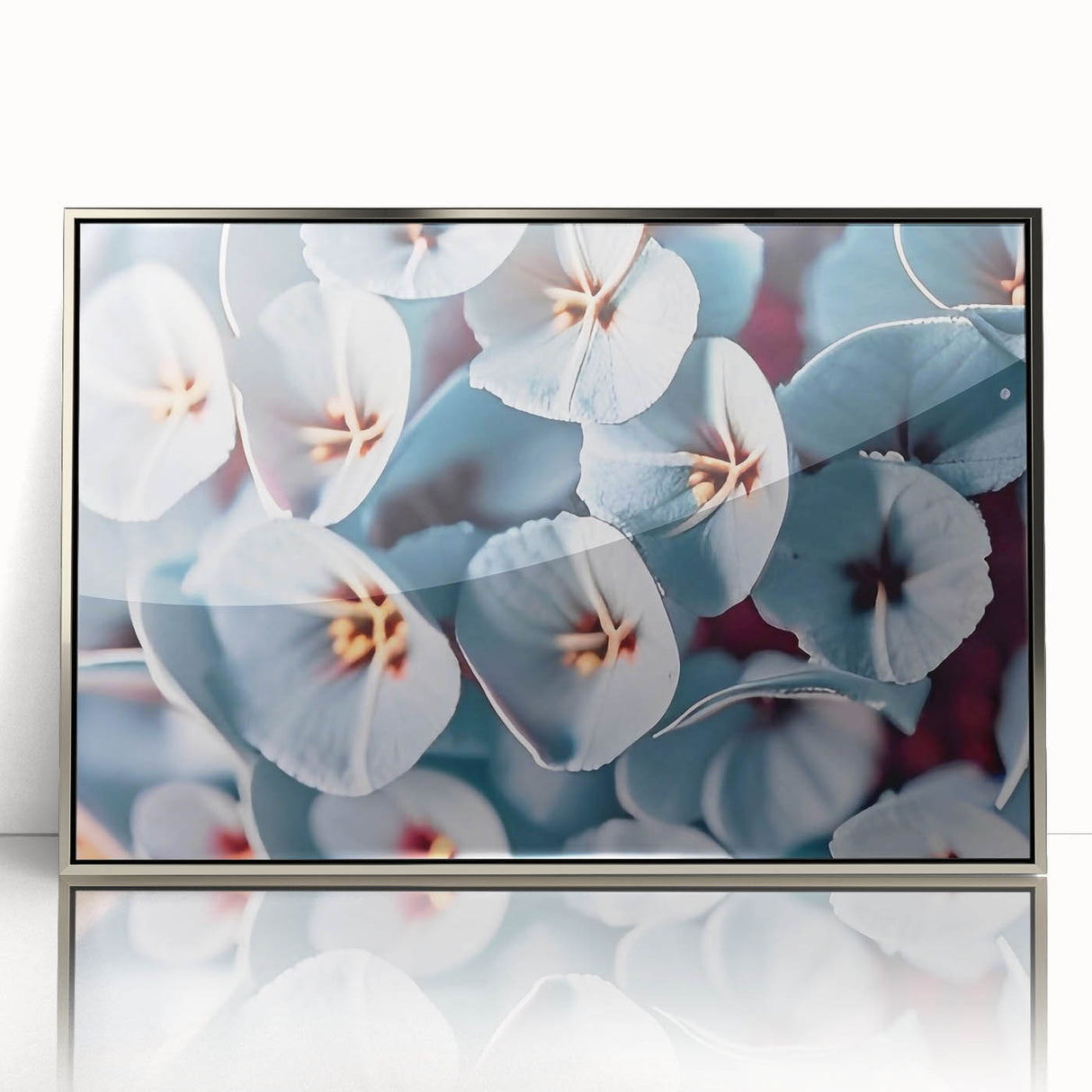 Mid-century modernist art depicting vibrant floral close-ups in a silver framed acrylic, ideal for nursery wall decor.
