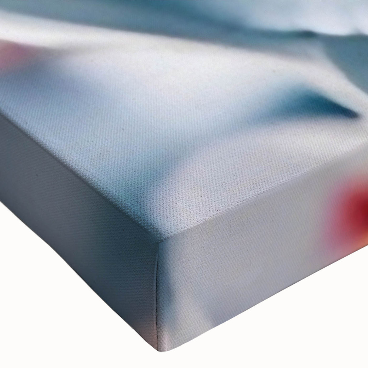 Close-up black and white floral photograph on stretched canvas, ideal for bedroom wall art with a minimalist design.