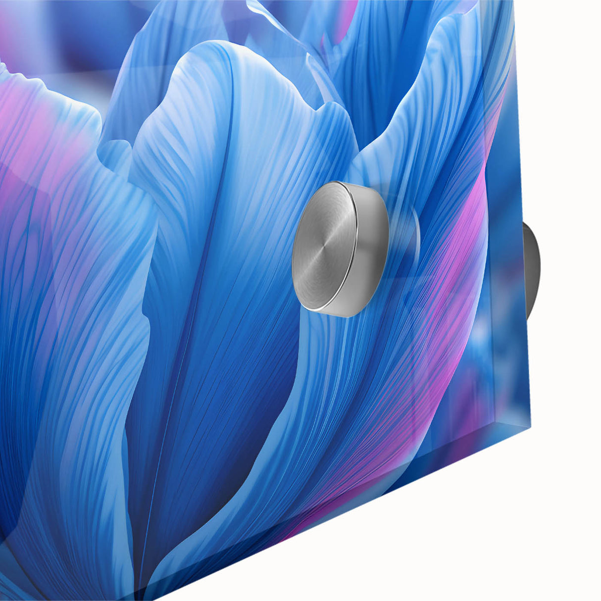 Large abstract floral design in vibrant colors on acrylic glass, ideal for dining room art.