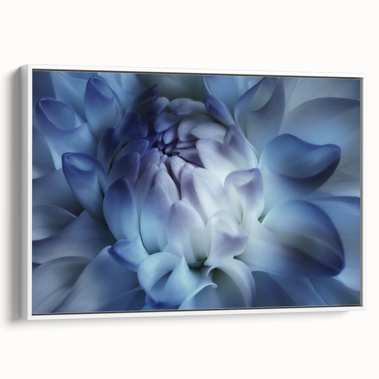 Extra large framed canvas featuring a vintage poster art of colorful florals against a black background.