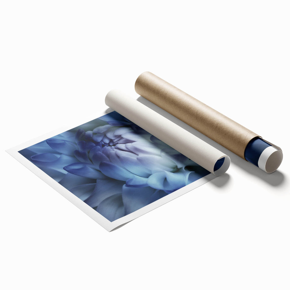 Extra large rolled print featuring close-up floral art in soft pastel shades.