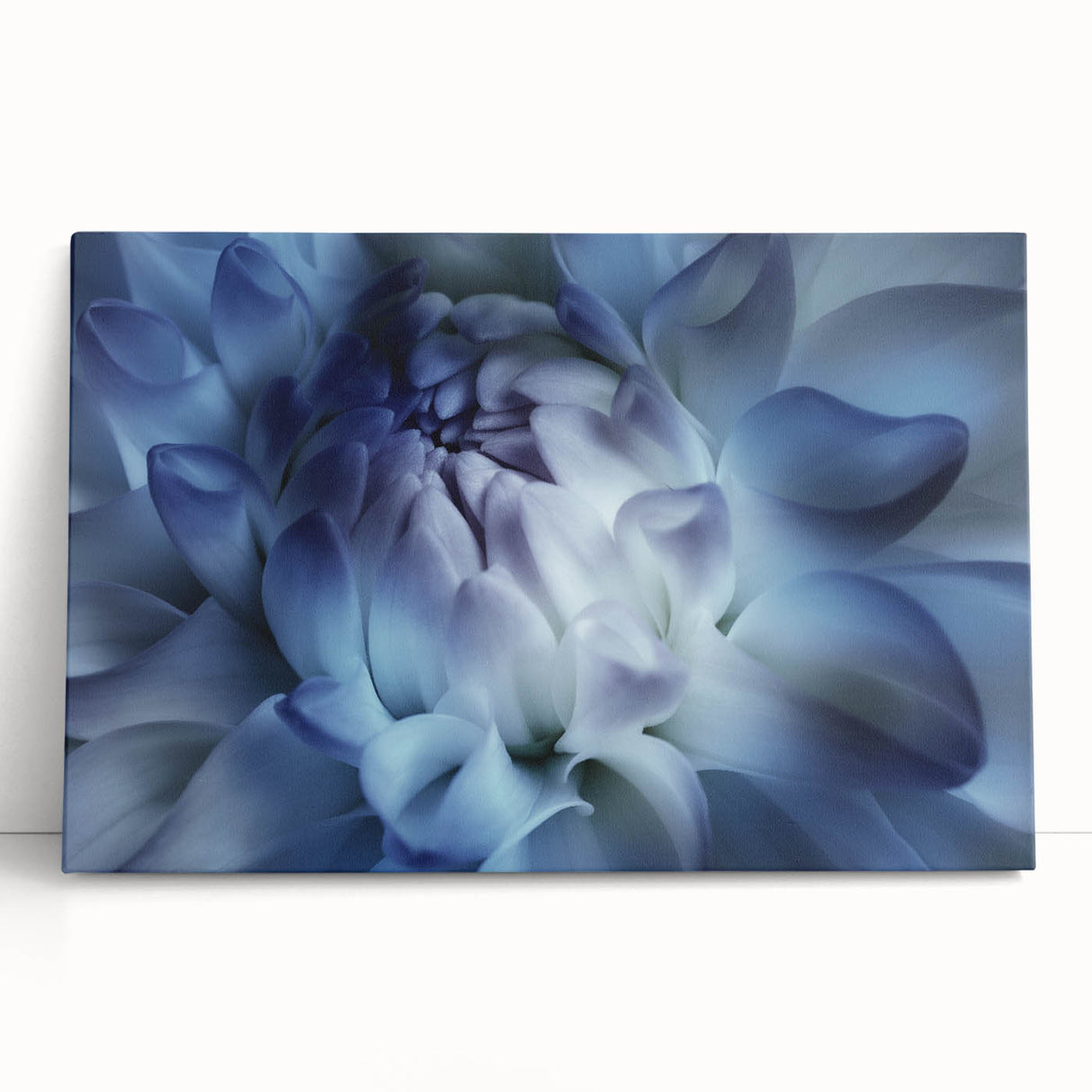 Black and white close-up floral photograph on stretched canvas, ideal for kitchen wall art or bedroom ambiance.
