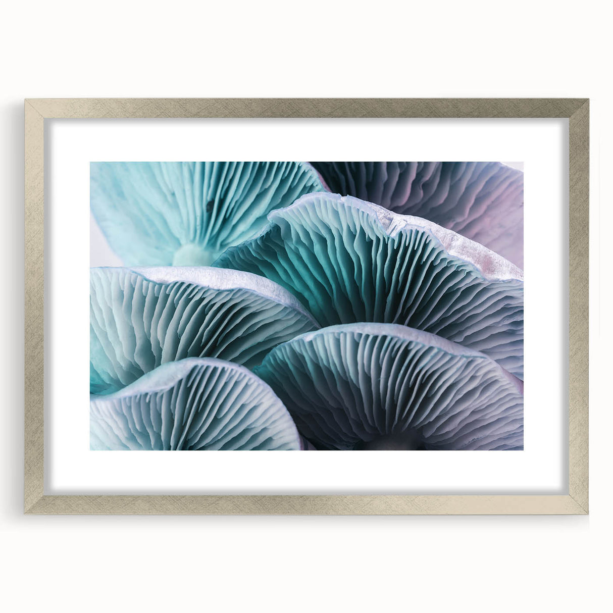 Textured art print of abstract florals in soft pink and white, framed in silver, suitable for bedroom decor.