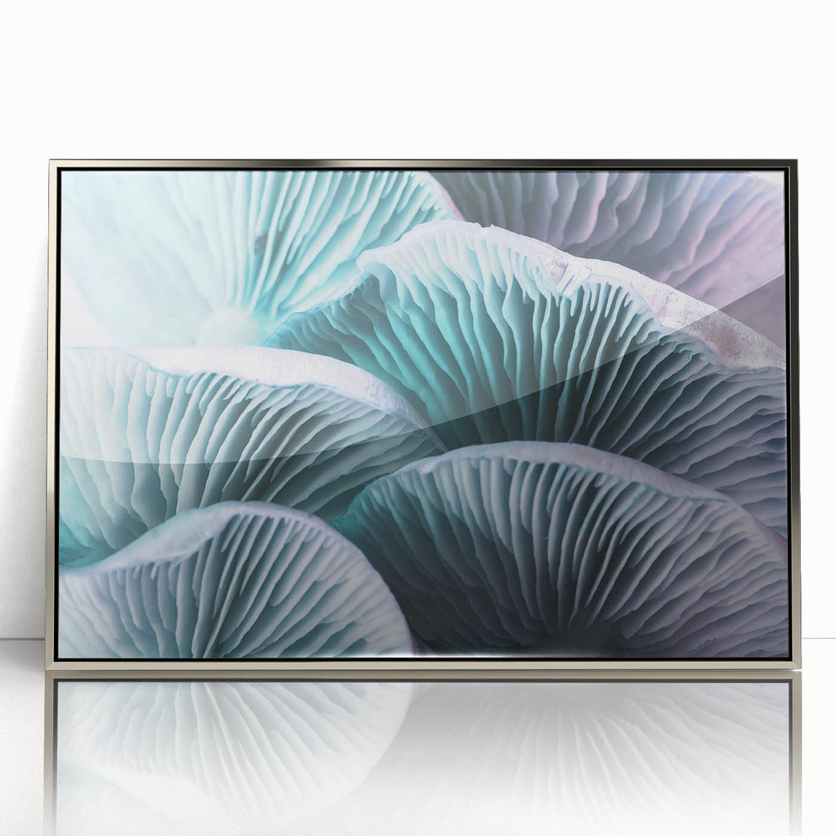 Mid-century modernist art depicting vibrant floral close-ups in a silver-framed acrylic, ideal for nursery wall art.
