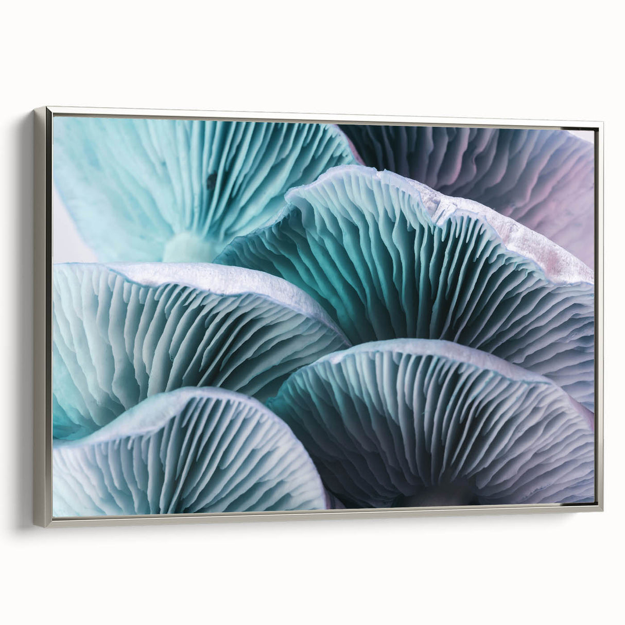 Framed canvas landscape art painting featuring colorful flowers against a black background, suitable for living room decor.