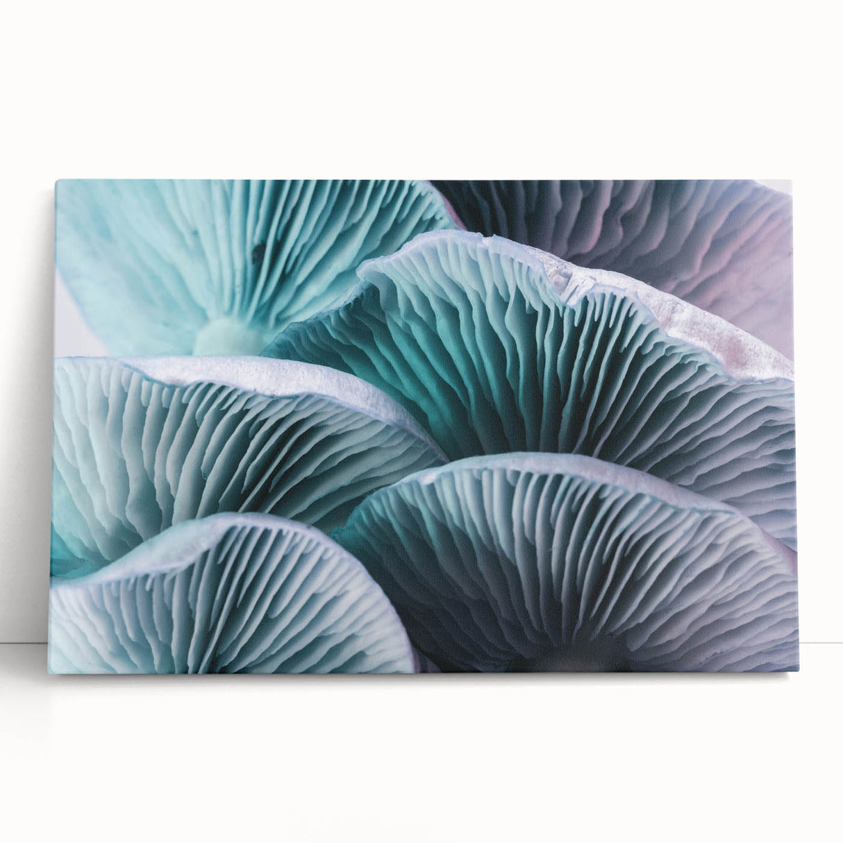 Black and white close-up floral photo on stretched canvas, ideal for kitchen wall art or bedroom ambiance.