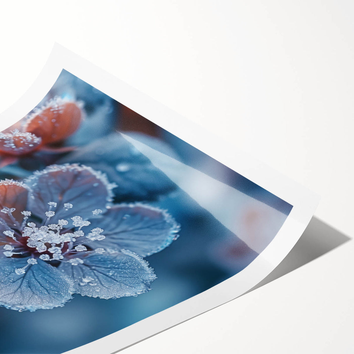 Extra large wall art featuring close-up of frost on flowers, in muted blue and white tones.
