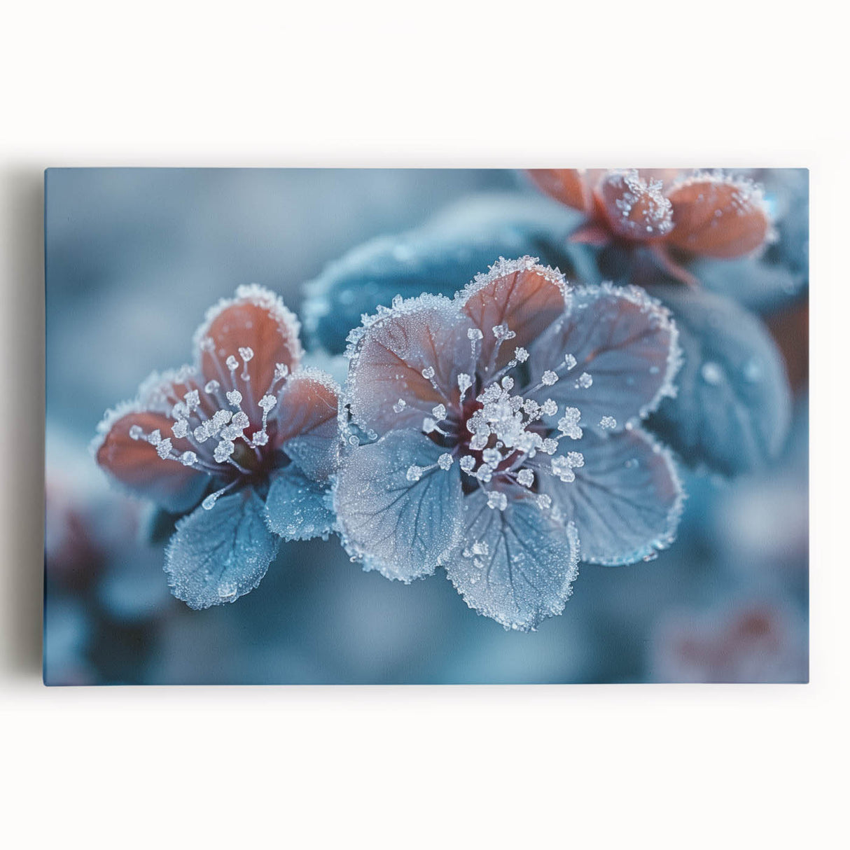 Close-up of frost pattern in black and white on stretched canvas, ideal for kitchen wall art.