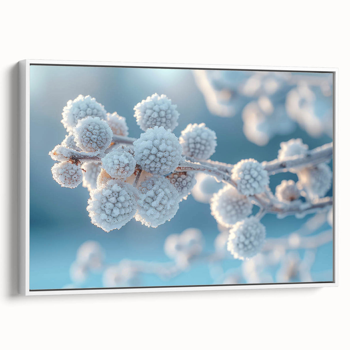 Black and white framed canvas featuring a close-up of frost patterns, ideal for bedroom wall decor.