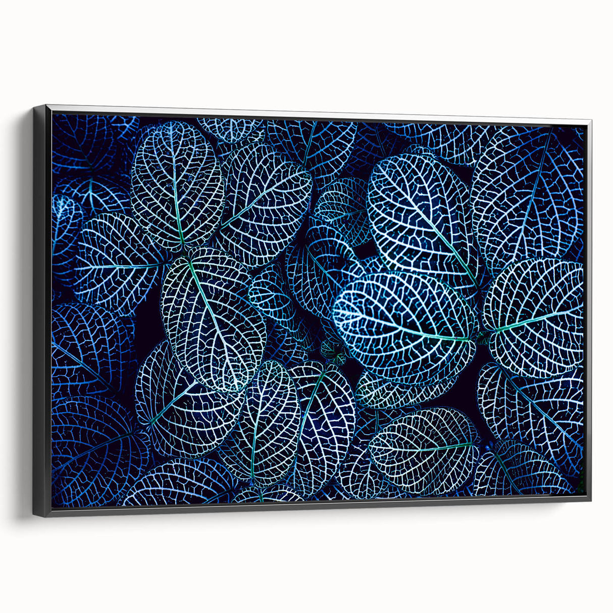 Black and white vintage poster art of close-up leaves on framed canvas, suitable for bedroom wall decor.