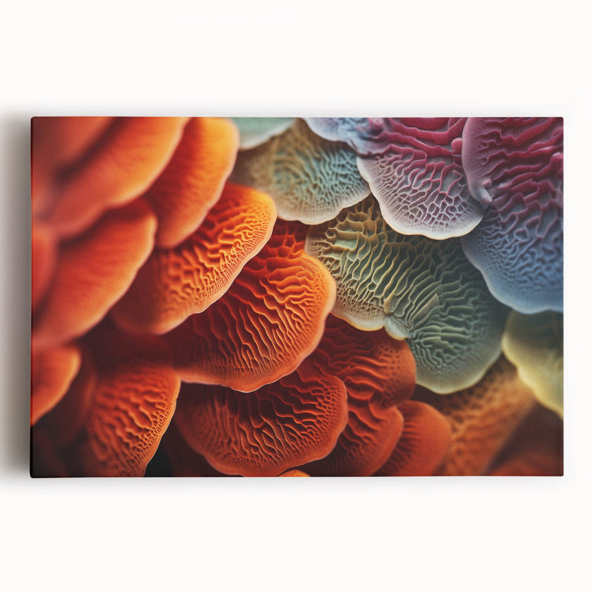 Close-up of leaves in black and white on a stretched canvas, ideal for kitchen wall art.