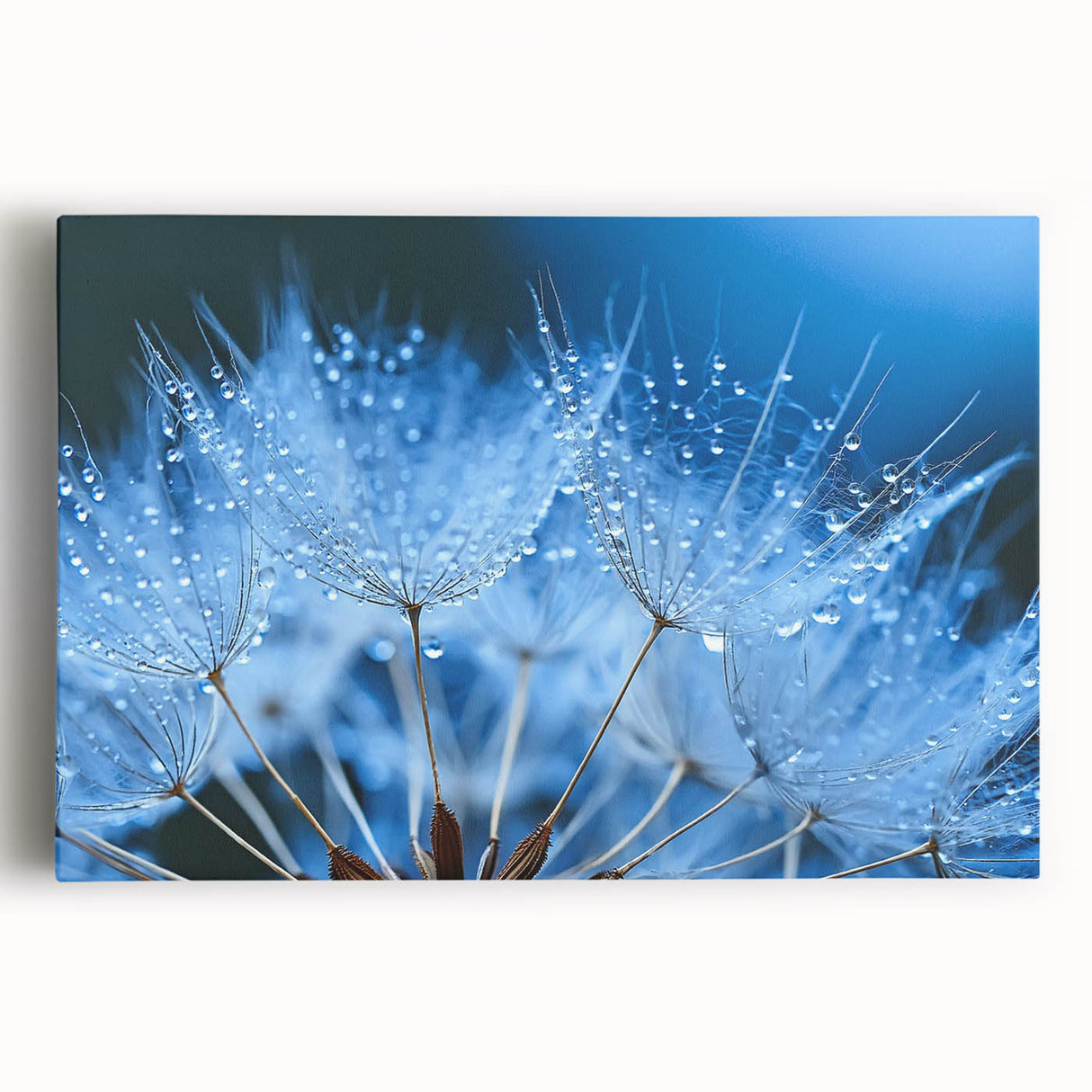 Black and white close-up photo of water droplets on canvas, suitable for kitchen wall art.
