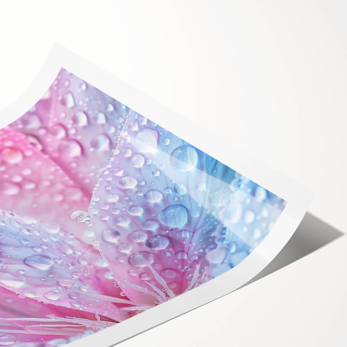 Extra large wall art featuring line art flowers in black on a white background, ideal for large living room decor.