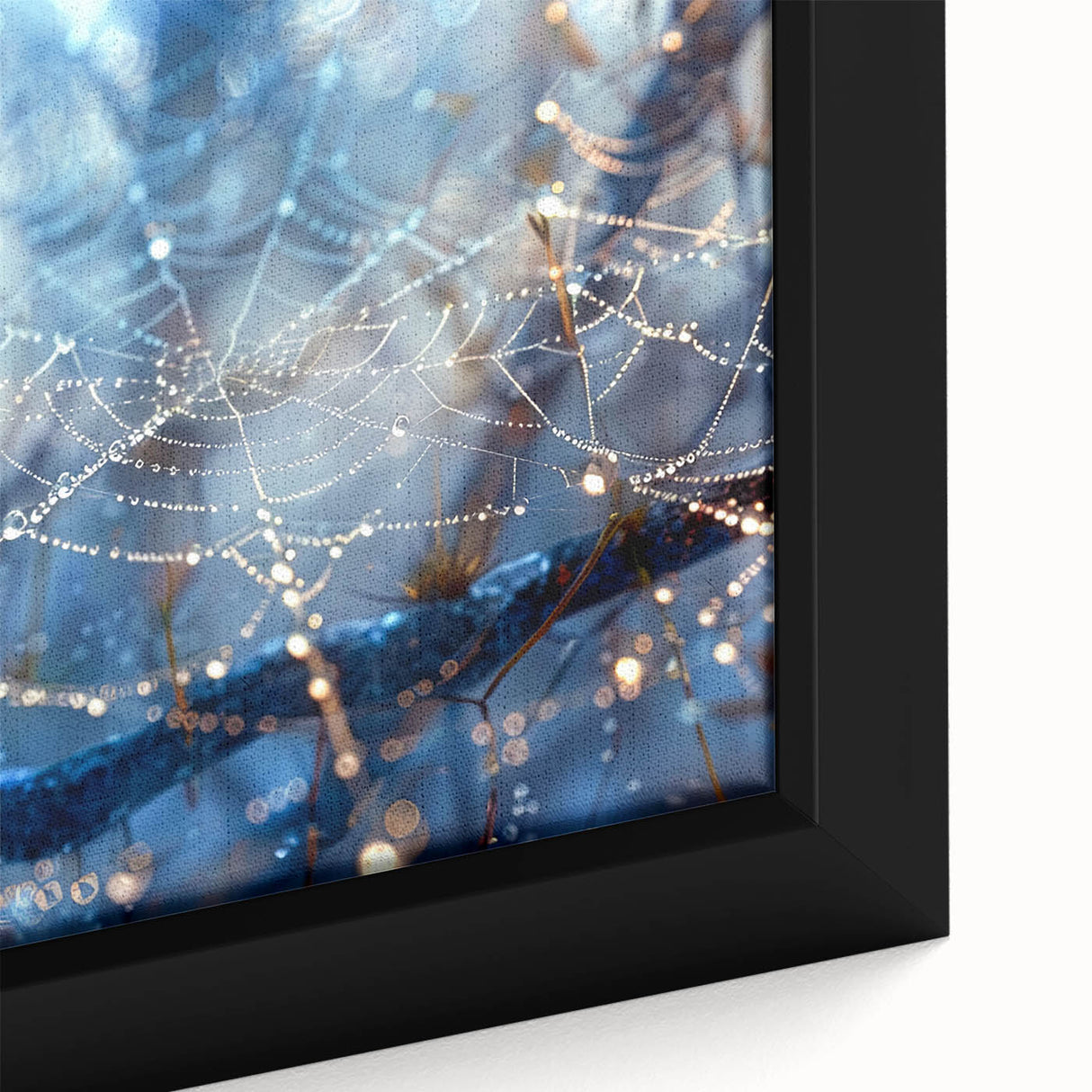 Extra large framed canvas featuring a close-up of water droplets on black with vibrant textured colors.