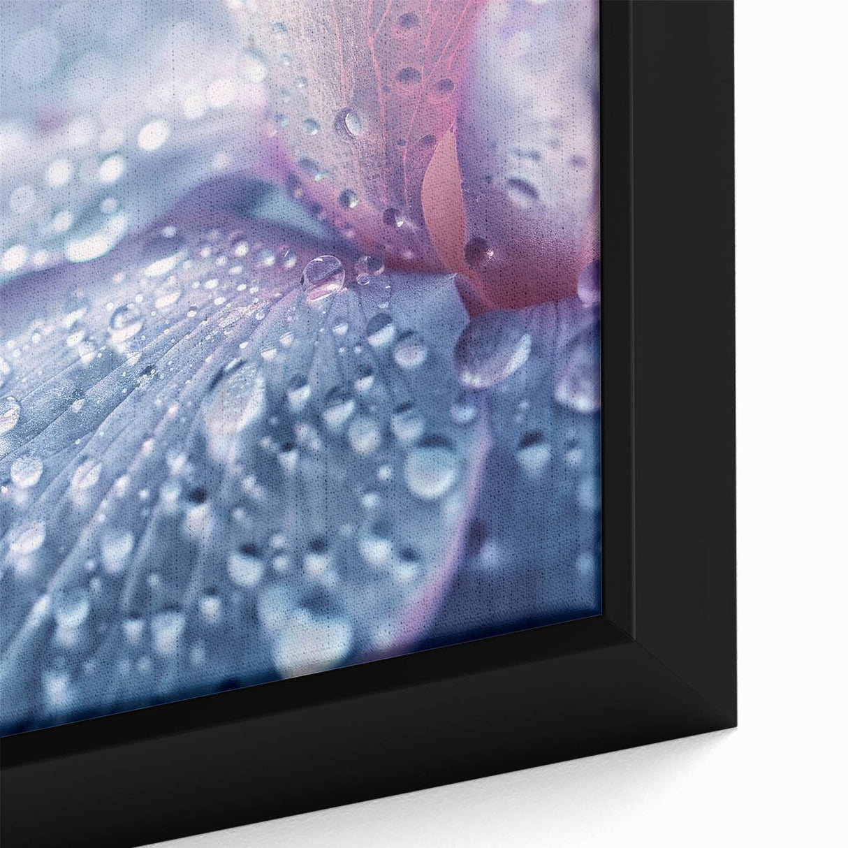 Close-up of water droplets on a black background in a textured style, framed canvas, ideal for living room decor.