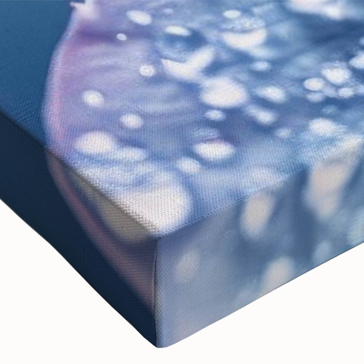 Close-up of a water droplet on a leaf in black and white, printed on large stretched canvas, suitable for bedroom wall decor.